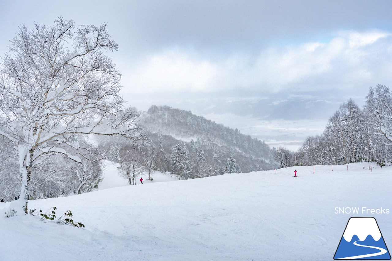 富良野スキー場｜たっぷりの『bonchi powder』が降り積ったゲレンデ…。富良野の雪は、ちょっとレベルが違います♪